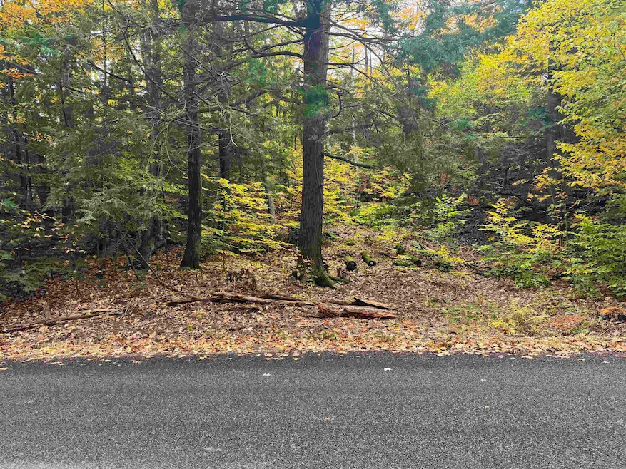 20 Sagamore Rd, Gilford, NH 03249 - photo 1