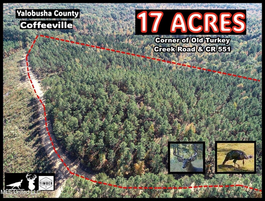 17 AC yb