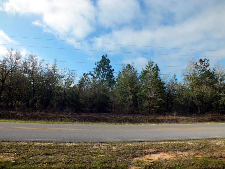 Oakwood Lakes Boulevard View