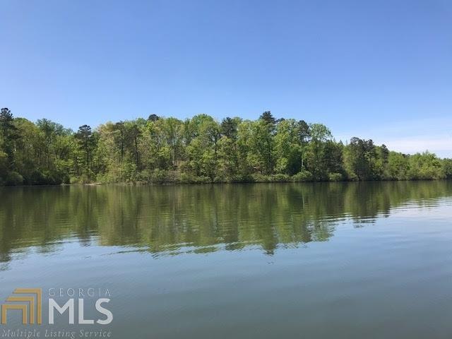 0 Old Driver Rd unit Tract 4 8826630, Whitesburg, GA 30185 - photo 1