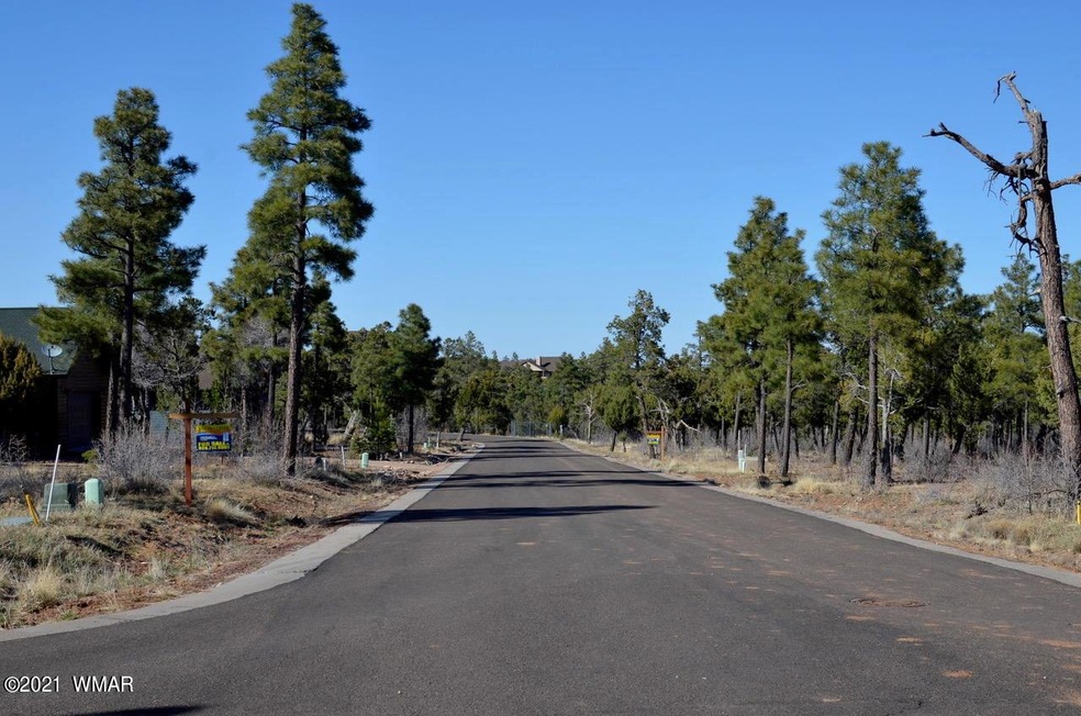 Tree Lined Roads