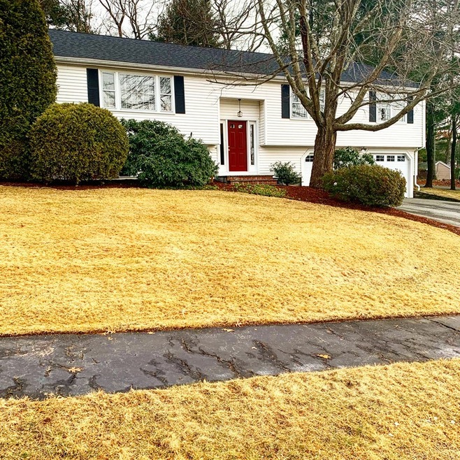 85 Sherbourne Place, Waltham, MA 02451 - photo 1