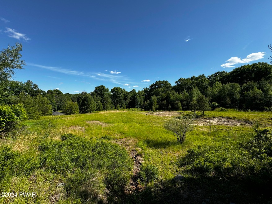 0 Urban Rd, Lords Valley, PA 18428 - photo 1