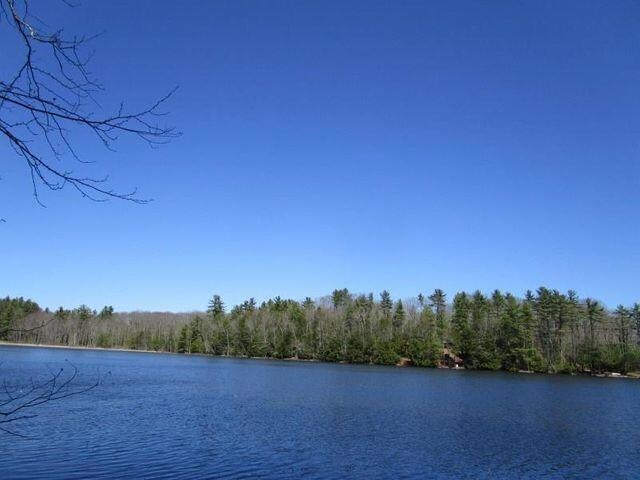 Pine Point1