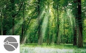 . N Walnut, Bitely, MI 49309 - photo 1