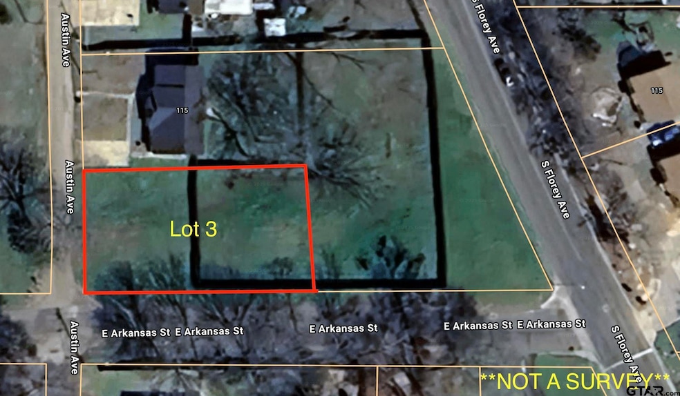 TBD Austin Ave, Mount Pleasant, TX 75455 - photo 1