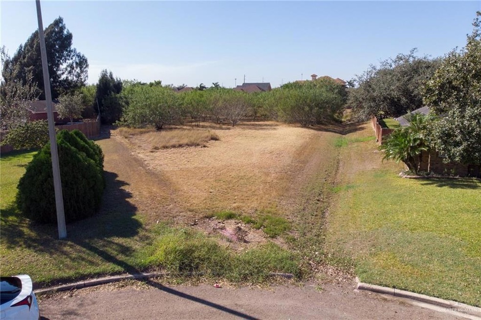 1003 Justin Cir, Donna, TX 78537 - photo 1