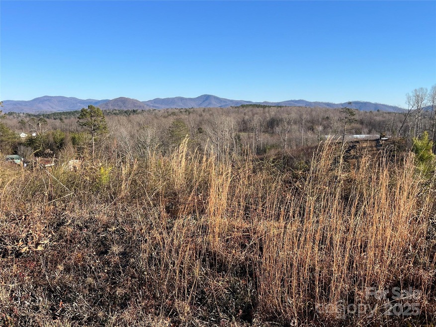 V/L Tatertown Loop unit 1, Nebo, NC 28761 - photo 1