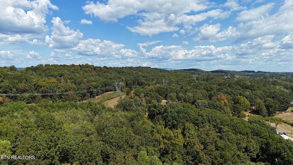 DJI_20240920133224_0013_D