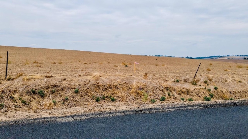 15237 E Belmont Appx Rd, Mica, WA 99023 - photo 1