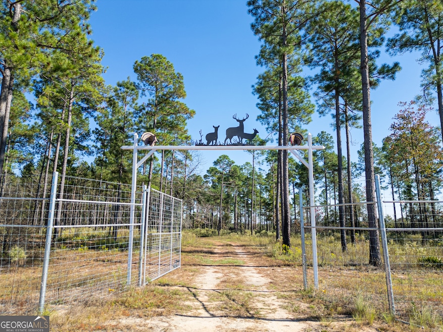 0 Fall Line High Fence unit 10648976, Ellaville, GA 31806 - photo 1