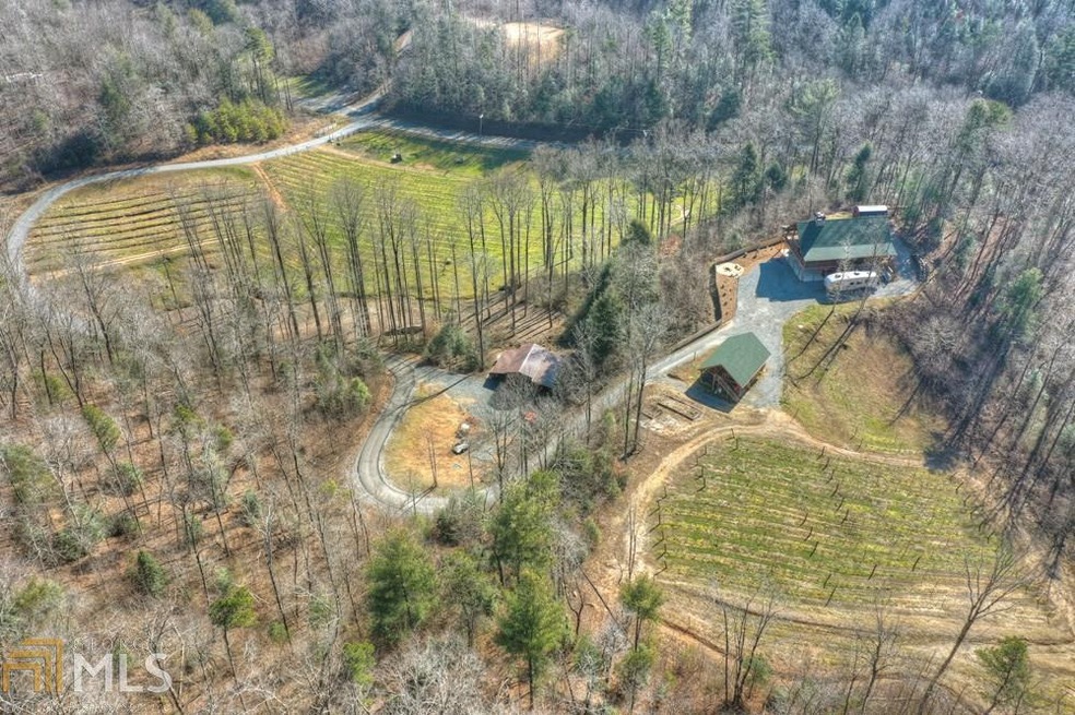 S S Jones Mill Rd, Ellijay, GA 30540 - photo 1