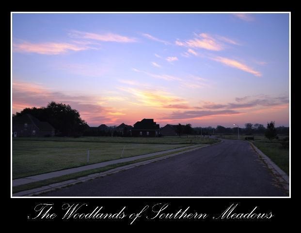 Welcome to The Woodlands of Southern Meadows!