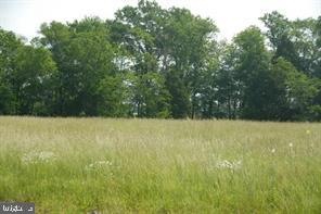 0 Schoolhouse Rd, Bealeton, VA 22712 - photo 1