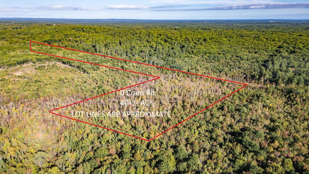 40 acre lot APPROX LINES