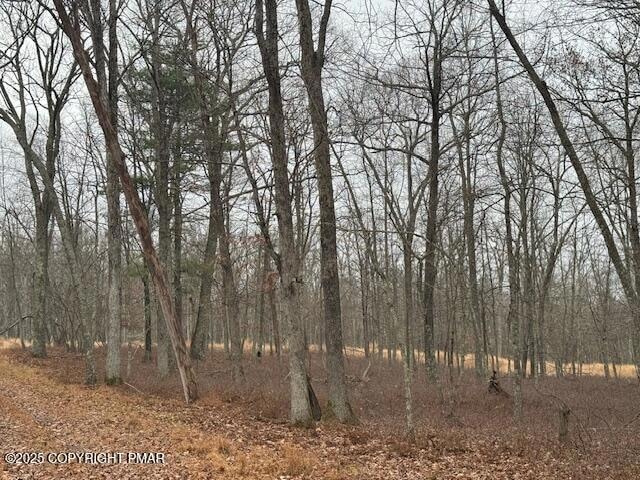 0 Chippewa Court Lots 72 & 73, Hawley, PA 18428 - photo 1