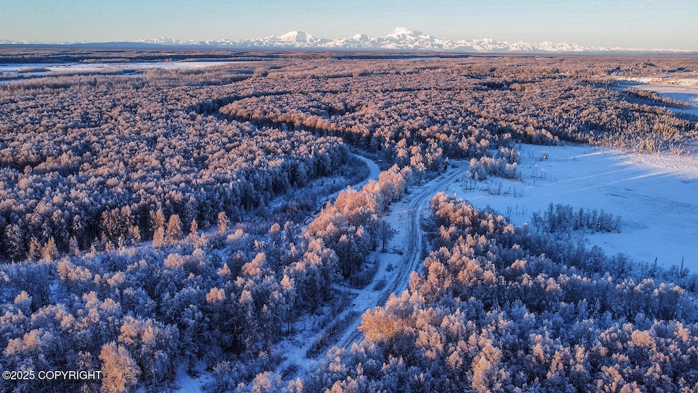 49246 S Hunter Dr, Willow, AK 99688 - photo 1