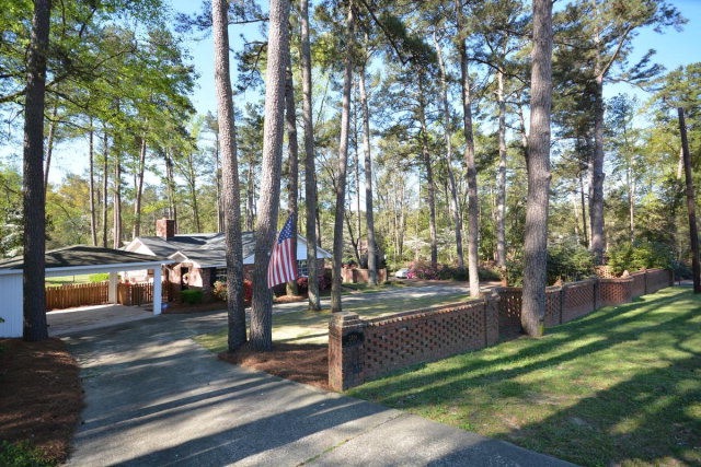 Main View