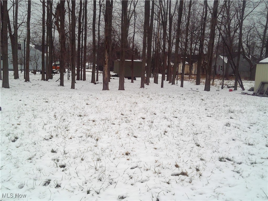 0 Arianna Ave, Lorain, OH 44052 - photo 1