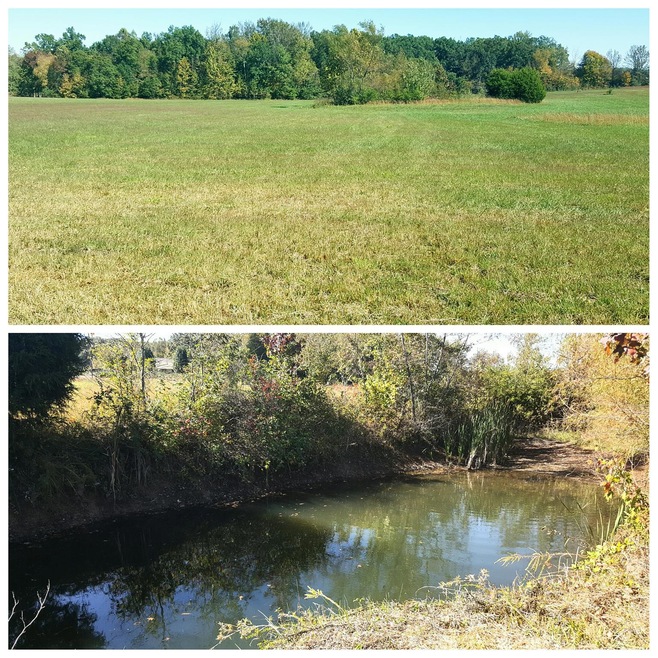 Beautiful acreage with spring fed pond!  