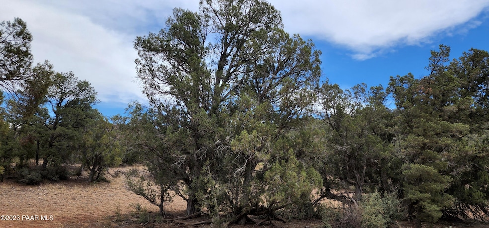 0 Dunbar Blvd, Williams, AZ 86320 - photo 1