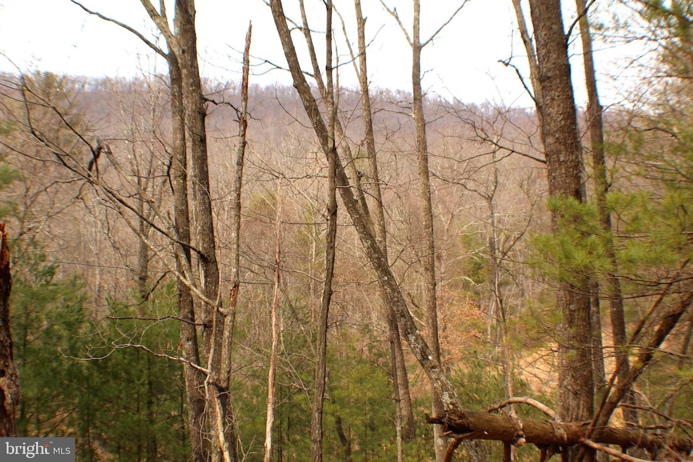 Lot 14 Leisure Acres Rd, Wardensville, WV 26851 - photo 1