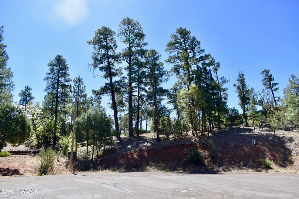 4601 S Manzanita Way, Show Low, AZ 85901 - photo 1