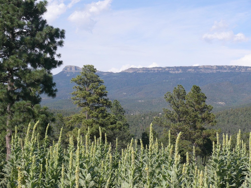 Fishers Peak