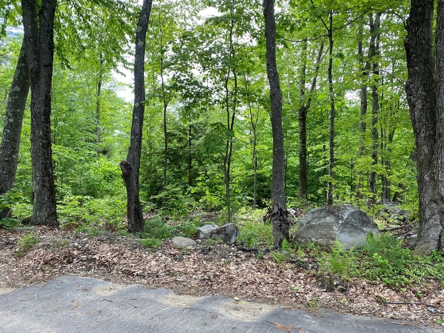 0 Valentine Rd unit 72928532, Phillipston, MA 01331 - photo 1