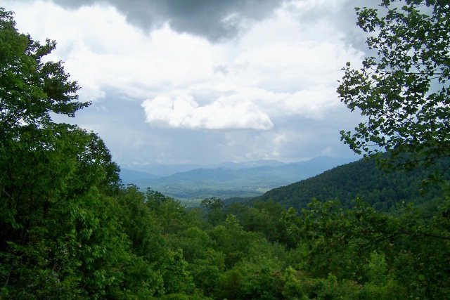 Main View