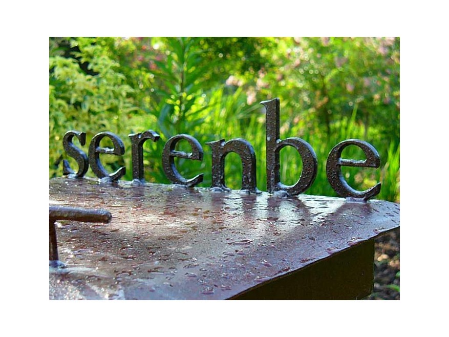 Exterior Front. Serenbe - green community known fo