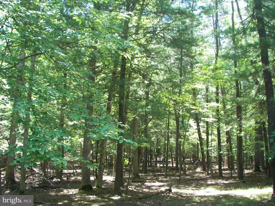 0 Sideling Mtn 93a unit WVMO116038, Great Cacapon, WV 25422 - photo 1
