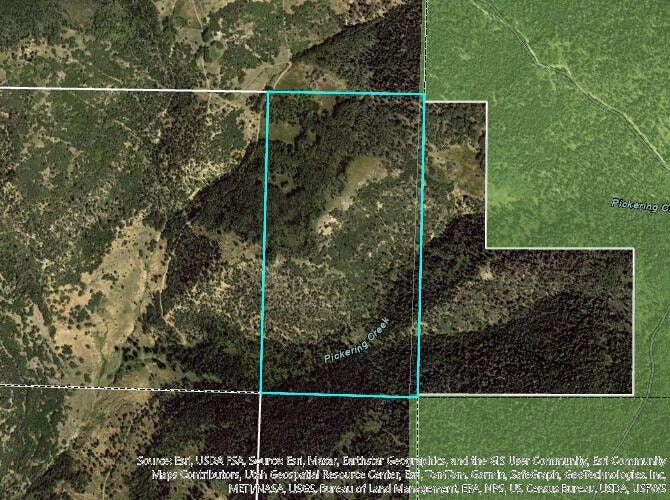 80 acres near Pickering Creek