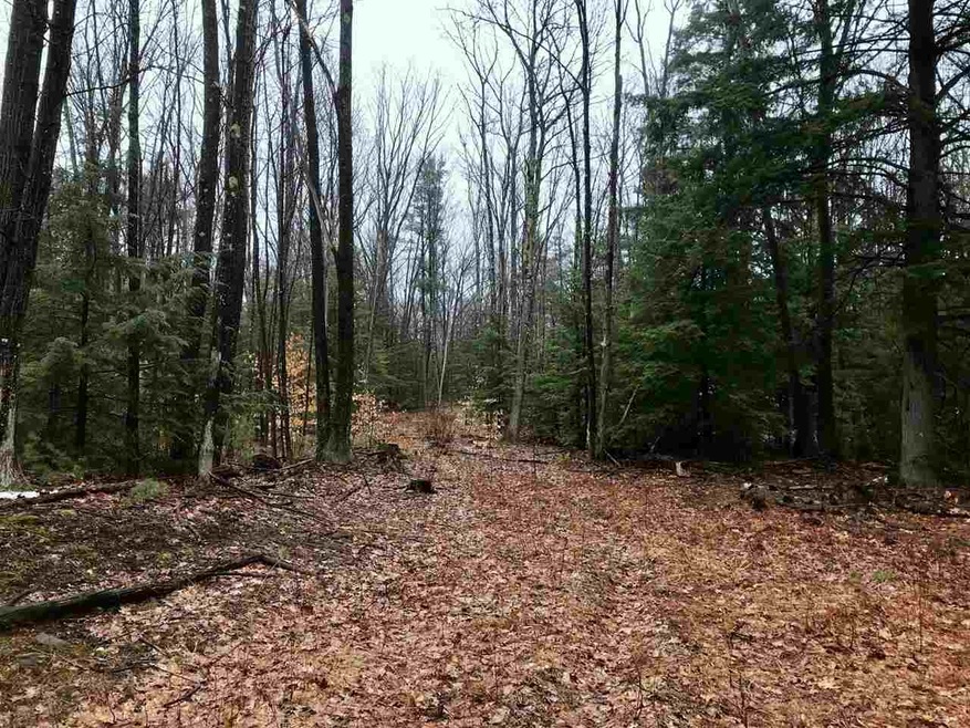 0 Old County Rd N unit Lot 18 4688423, Deering, NH 03244 - photo 1