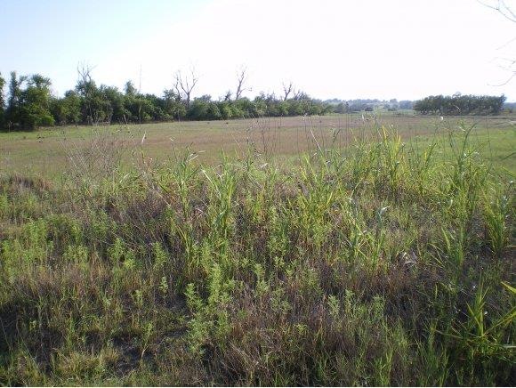 Acreage from the road