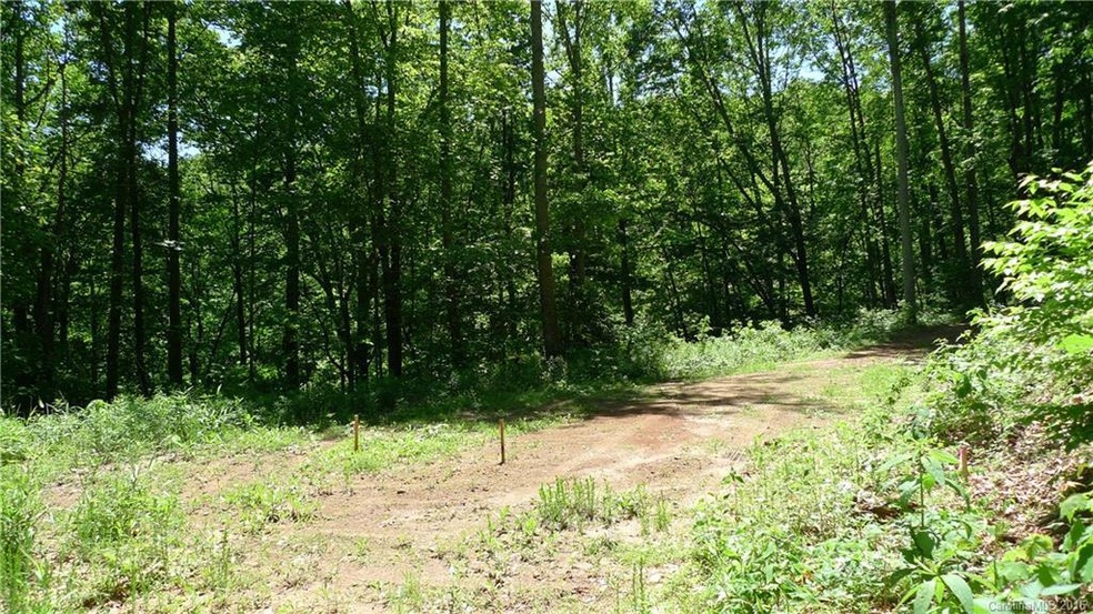 99999 Blossom Ridge, Leicester, NC 28748 - photo 1