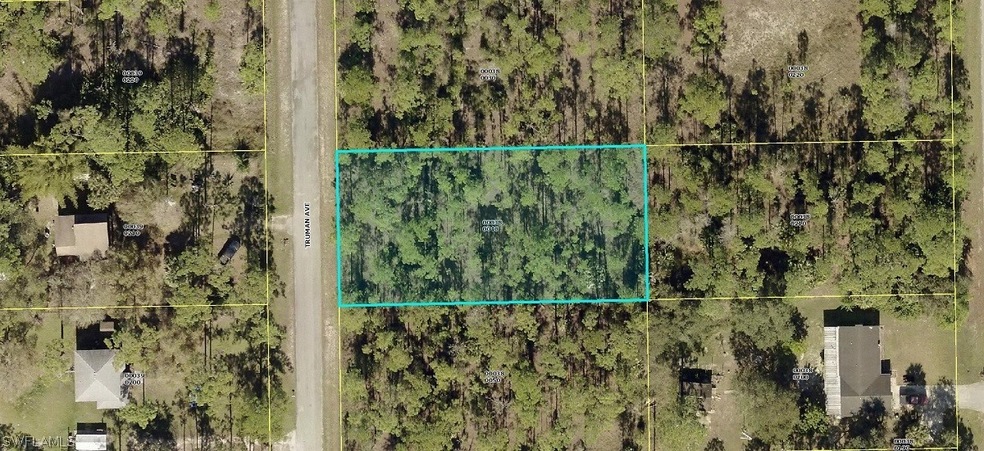 2316 Truman Ave, Alva, FL 33920 - photo 1