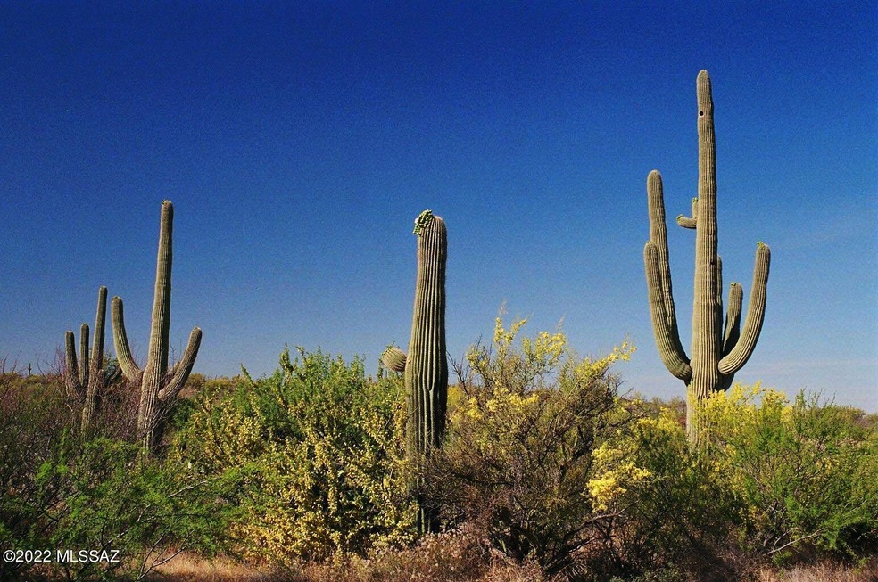 A08