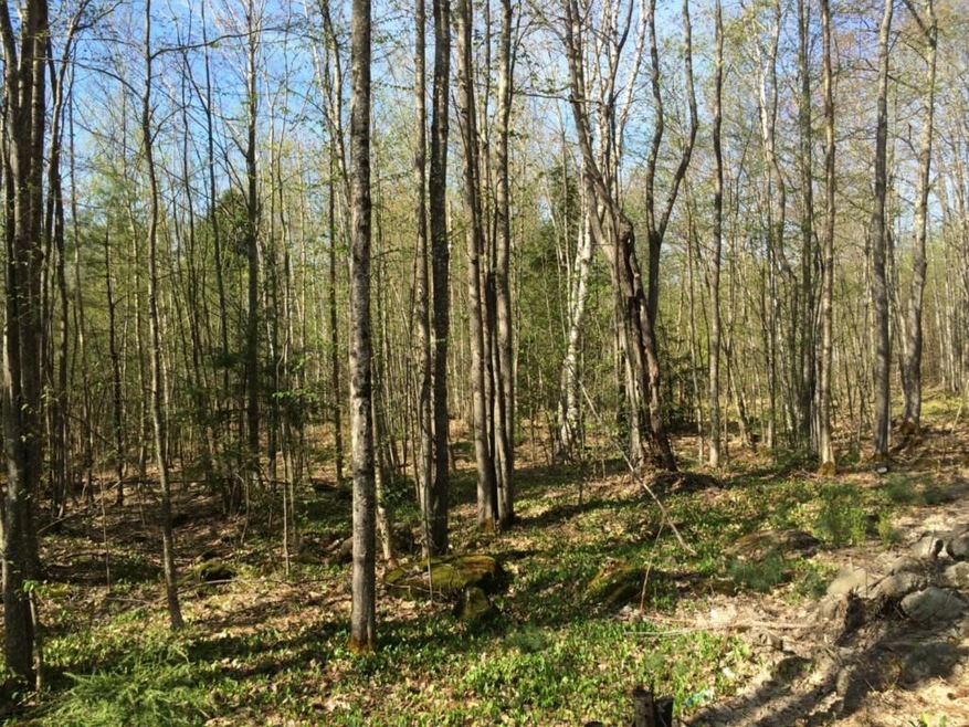 20.3 County Rd, Acton, ME 04001 - photo 1