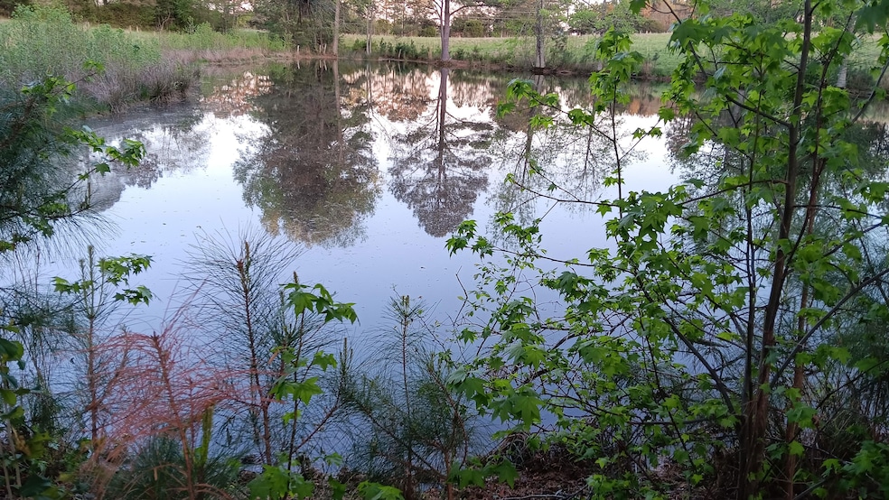 0 Cannady Mill Rd, Franklinton, NC 27525 - photo 1