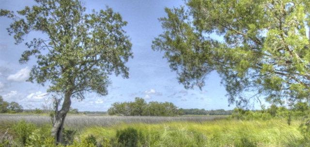 116 Hawkins Ln, St. Simons Island, GA 31522 - photo 1