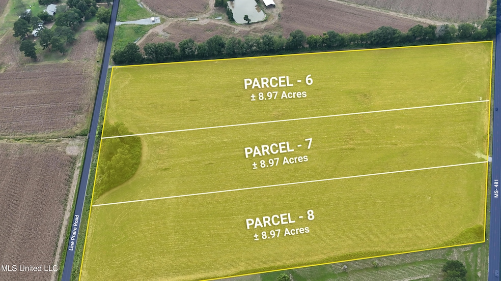 0 Line Prairie Rd, Morton, MS 39117 - photo 1