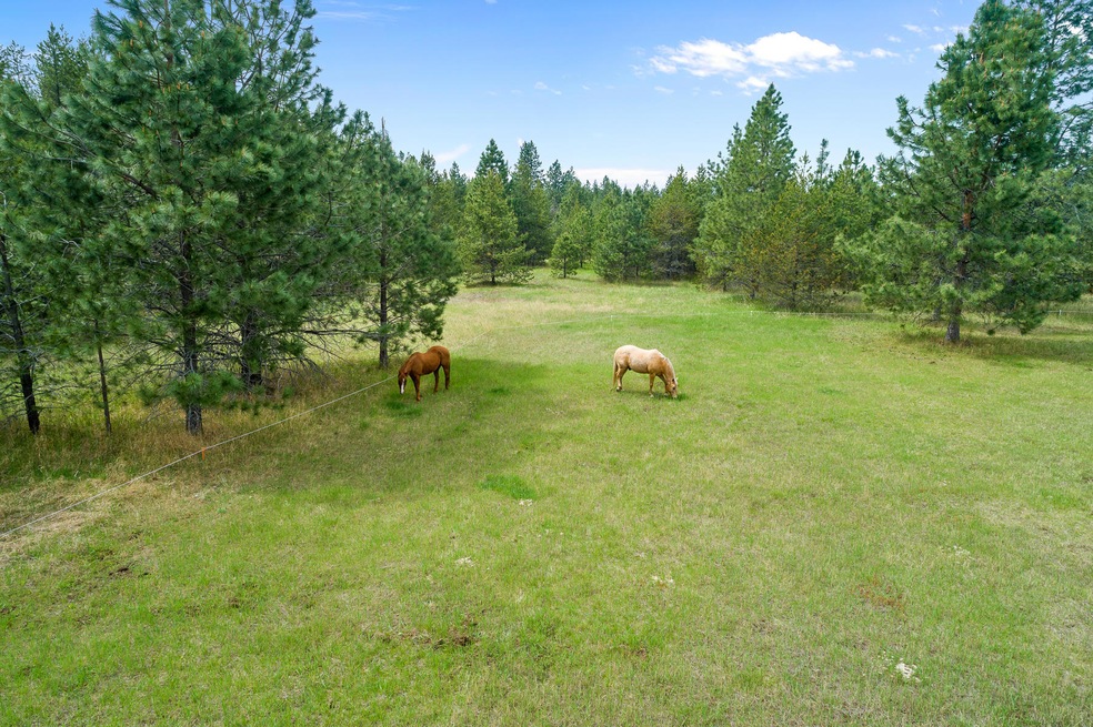 NNA E Forest View Rd, Athol, ID 83801 - photo 1