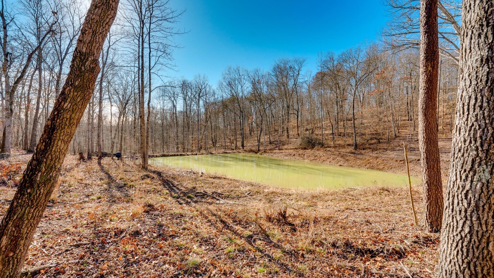 Trac 6 Pond - 255