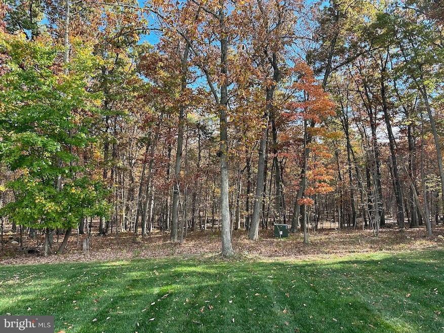 12915 Shady Ln, Hillsboro, VA 20132 - photo 1