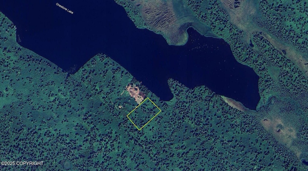 L6 B11 Onestone Lake, Skwentna, AK 99667 - photo 1