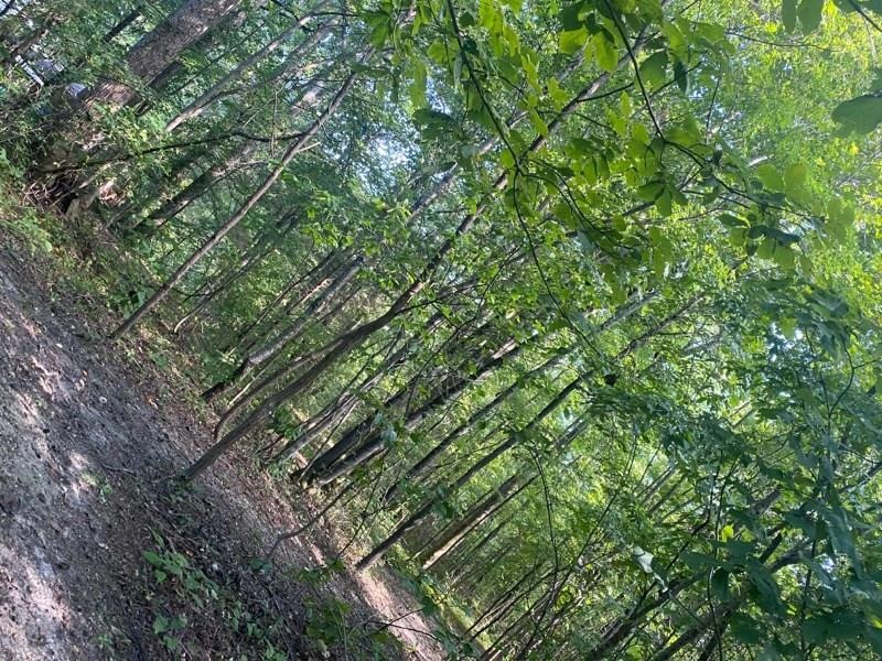 0 Bilbrey Qualls Rd, Cookeville, TN 38506 - photo 1