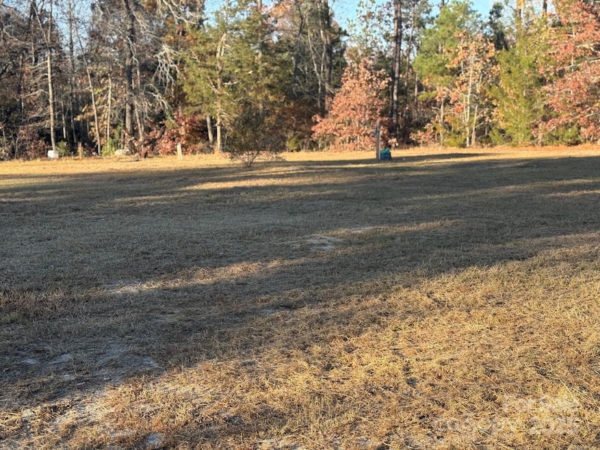 4146 Old Georgetown Rd W, Kershaw, SC 29067 - photo 1