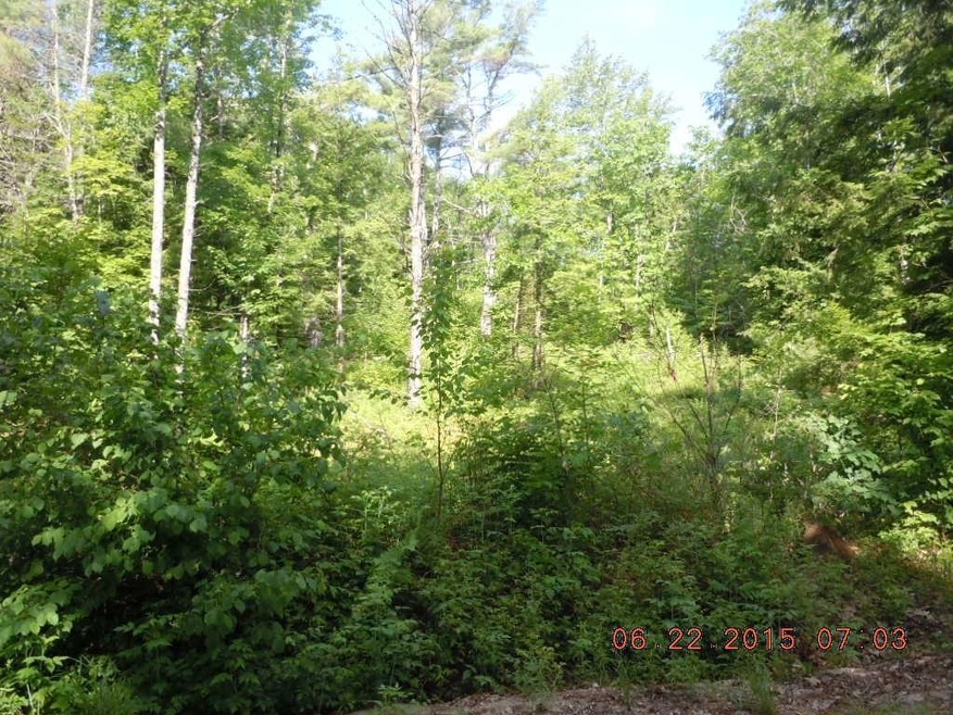 00 Line Rd, Buxton, ME 04093 - photo 1