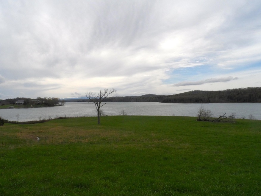 Roadside Lot View